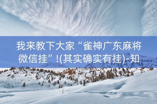 我来教下大家“雀神广东麻将微信挂”!(其实确实有挂)-知乎