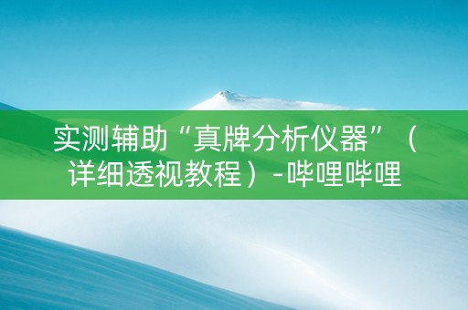 实测辅助“真牌分析仪器”（详细透视教程）-哔哩哔哩