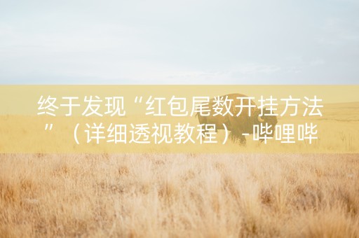 终于发现“红包尾数开挂方法”（详细透视教程）-哔哩哔哩