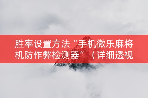 胜率设置方法“手机微乐麻将机防作弊检测器”（详细透视教程）-哔哩哔哩
