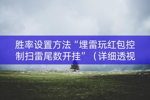 胜率设置方法“埋雷玩红包控制扫雷尾数开挂”（详细透视教程）-哔哩哔哩