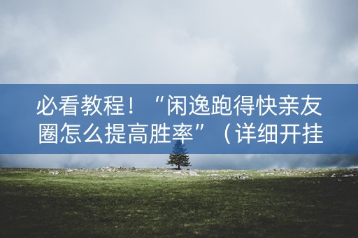 必看教程！“闲逸跑得快亲友圈怎么提高胜率”（详细开挂教程）-哔哩哔哩