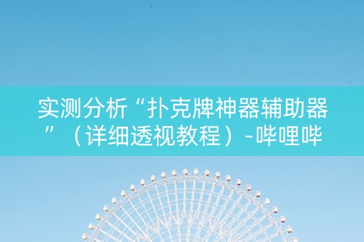 实测分析“扑克牌神器辅助器”（详细透视教程）-哔哩哔哩