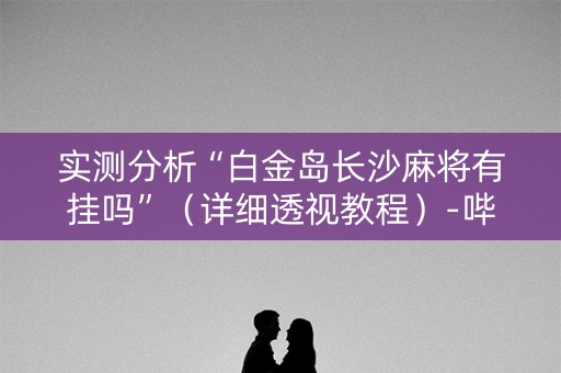 实测分析“白金岛长沙麻将有挂吗”（详细透视教程）-哔哩哔哩