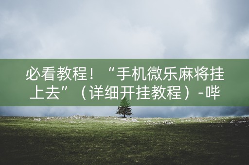 必看教程！“手机微乐麻将挂上去”（详细开挂教程）-哔哩哔哩