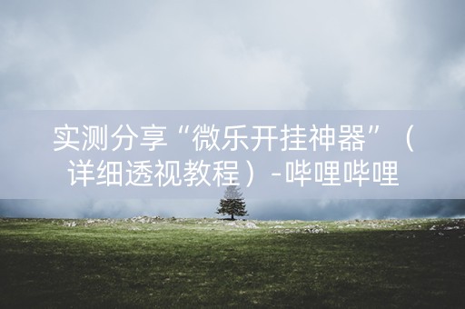 实测分享“微乐开挂神器”（详细透视教程）-哔哩哔哩