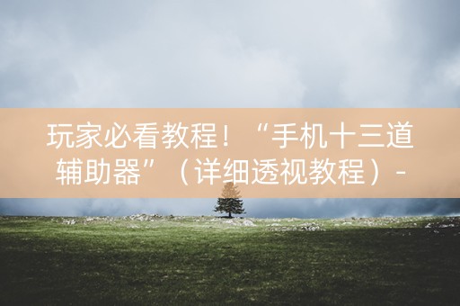 玩家必看教程！“手机十三道辅助器”（详细透视教程）-哔哩哔哩