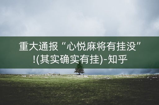 重大通报“心悦麻将有挂没”!(其实确实有挂)-知乎