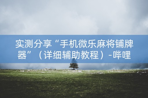 实测分享“手机微乐麻将铺牌器”（详细辅助教程）-哔哩哔哩