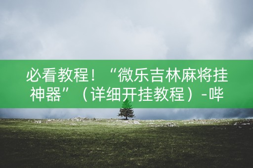 必看教程！“微乐吉林麻将挂神器”（详细开挂教程）-哔哩哔哩