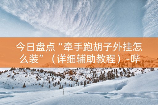 今日盘点“牵手跑胡子外挂怎么装”（详细辅助教程）-哔哩哔哩