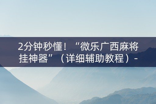 2分钟秒懂！“微乐广西麻将挂神器”（详细辅助教程）-哔哩哔哩