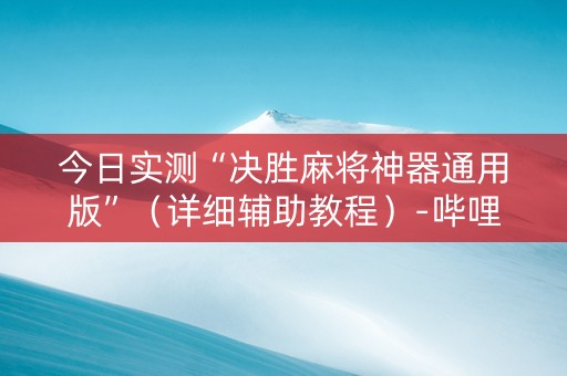 今日实测“决胜麻将神器通用版”（详细辅助教程）-哔哩哔哩