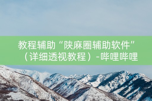 教程辅助“陕麻圈辅助软件”（详细透视教程）-哔哩哔哩