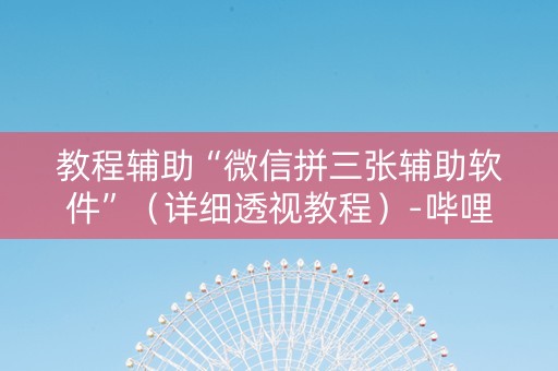 教程辅助“微信拼三张辅助软件”（详细透视教程）-哔哩哔哩