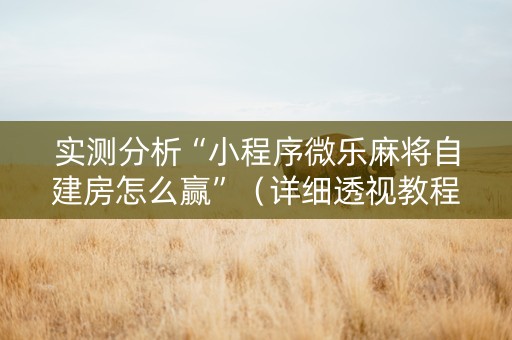实测分析“小程序微乐麻将自建房怎么赢”（详细透视教程）-哔哩哔哩