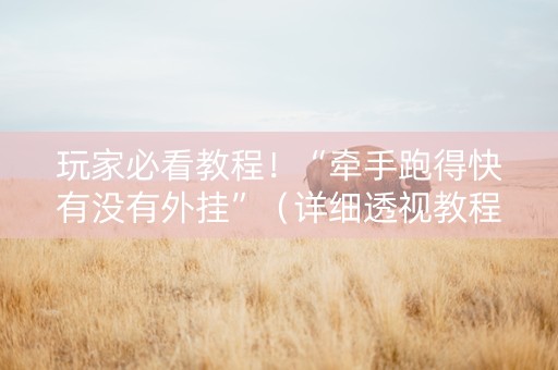 玩家必看教程！“牵手跑得快有没有外挂”（详细透视教程）-哔哩哔哩
