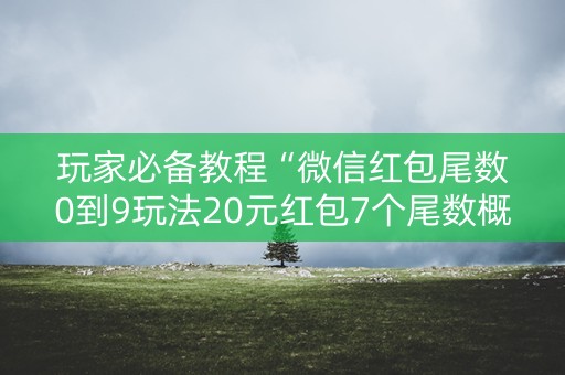 玩家必备教程“微信红包尾数0到9玩法20元红包7个尾数概率”（详细透视教程）-哔哩哔哩