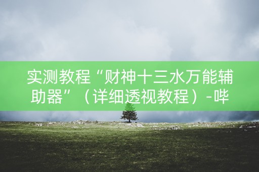 实测教程“财神十三水万能辅助器”（详细透视教程）-哔哩哔哩