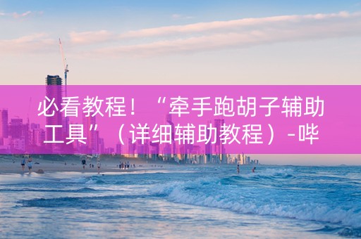 必看教程！“牵手跑胡子辅助工具”（详细辅助教程）-哔哩哔哩