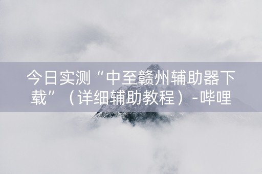 今日实测“中至赣州辅助器下载”（详细辅助教程）-哔哩哔哩