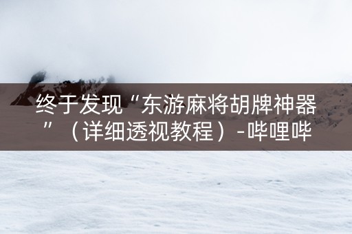 终于发现“东游麻将胡牌神器”（详细透视教程）-哔哩哔哩