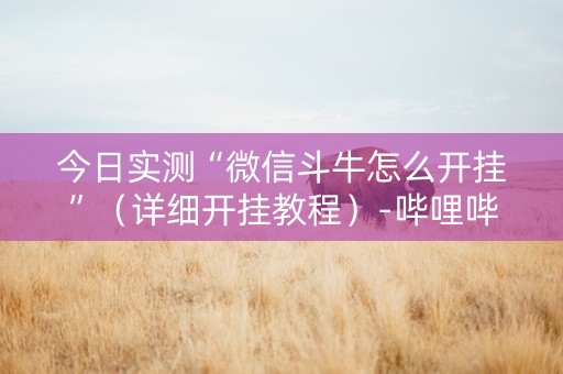 今日实测“微信斗牛怎么开挂”（详细开挂教程）-哔哩哔哩