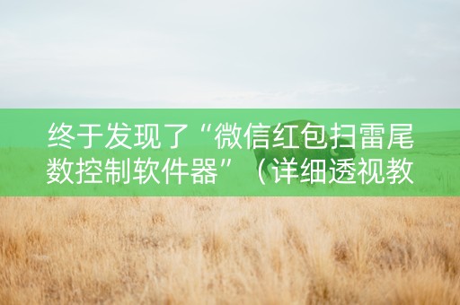 终于发现了“微信红包扫雷尾数控制软件器”（详细透视教程）-哔哩哔哩