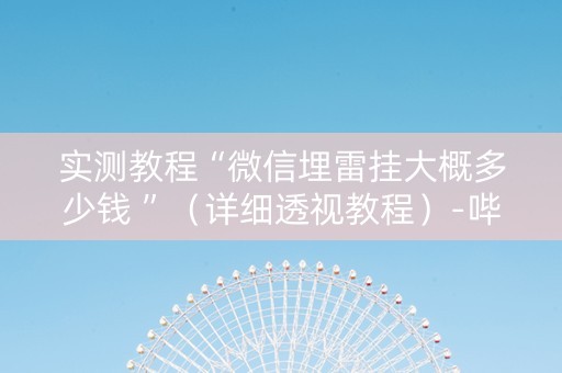 实测教程“微信埋雷挂大概多少钱 ”（详细透视教程）-哔哩哔哩