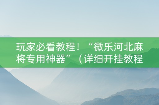 玩家必看教程！“微乐河北麻将专用神器”（详细开挂教程）-哔哩哔哩