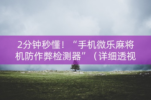 2分钟秒懂！“手机微乐麻将机防作弊检测器”（详细透视教程）-哔哩哔哩
