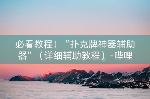 必看教程！“扑克牌神器辅助器”（详细辅助教程）-哔哩哔哩