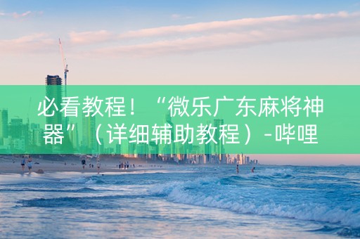 必看教程！“微乐广东麻将神器”（详细辅助教程）-哔哩哔哩