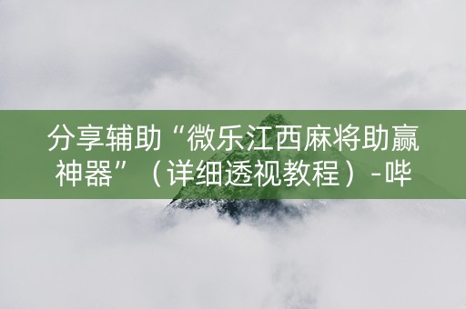 分享辅助“微乐江西麻将助赢神器”（详细透视教程）-哔哩哔哩