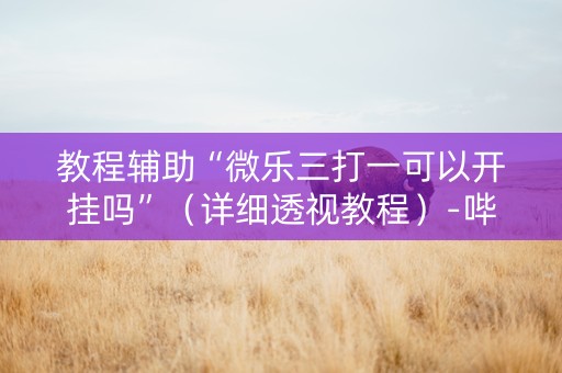 教程辅助“微乐三打一可以开挂吗”（详细透视教程）-哔哩哔哩