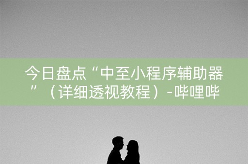 今日盘点“中至小程序辅助器”（详细透视教程）-哔哩哔哩