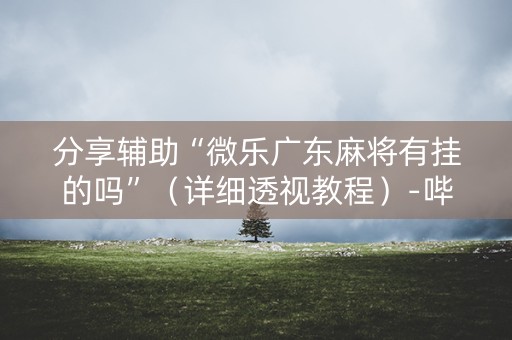 分享辅助“微乐广东麻将有挂的吗”（详细透视教程）-哔哩哔哩
