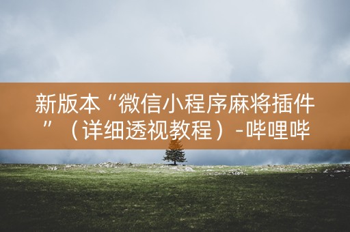新版本“微信小程序麻将插件”（详细透视教程）-哔哩哔哩