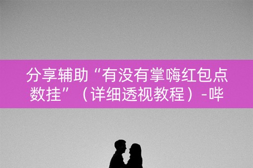 分享辅助“有没有掌嗨红包点数挂”（详细透视教程）-哔哩哔哩