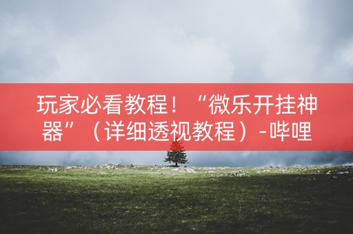 玩家必看教程！“微乐开挂神器”（详细透视教程）-哔哩哔哩