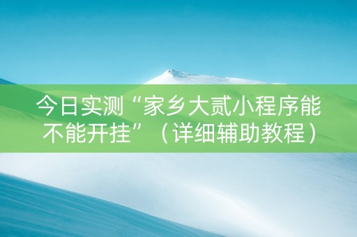 今日实测“家乡大贰小程序能不能开挂”（详细辅助教程）-哔哩哔哩