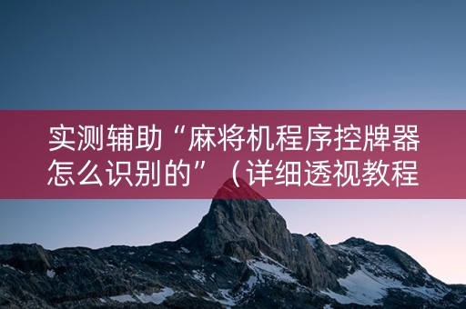 实测辅助“麻将机程序控牌器怎么识别的”（详细透视教程）-哔哩哔哩