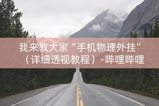 我来教大家“手机物理外挂”（详细透视教程）-哔哩哔哩