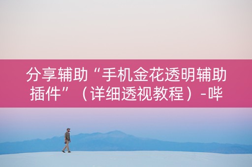 分享辅助“手机金花透明辅助插件”（详细透视教程）-哔哩哔哩