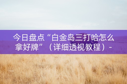 今日盘点“白金岛三打哈怎么拿好牌”（详细透视教程）-哔哩哔哩