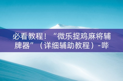 必看教程！“微乐捉鸡麻将辅牌器”（详细辅助教程）-哔哩哔哩