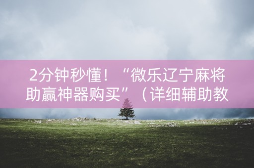 2分钟秒懂！“微乐辽宁麻将助赢神器购买”（详细辅助教程）-哔哩哔哩