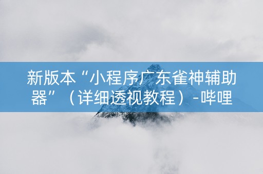 新版本“小程序广东雀神辅助器”（详细透视教程）-哔哩哔哩