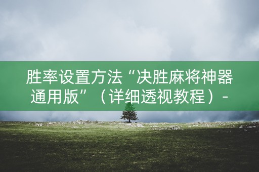 胜率设置方法“决胜麻将神器通用版”（详细透视教程）-哔哩哔哩