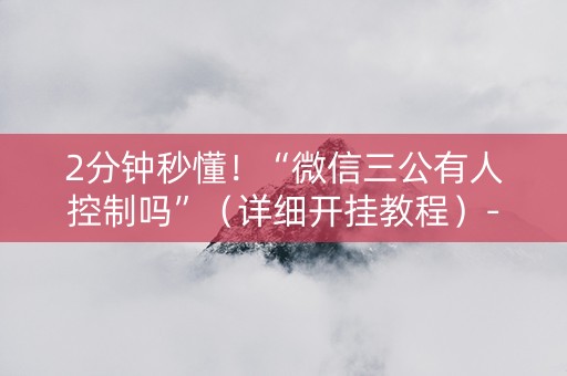 2分钟秒懂！“微信三公有人控制吗”（详细开挂教程）-哔哩哔哩